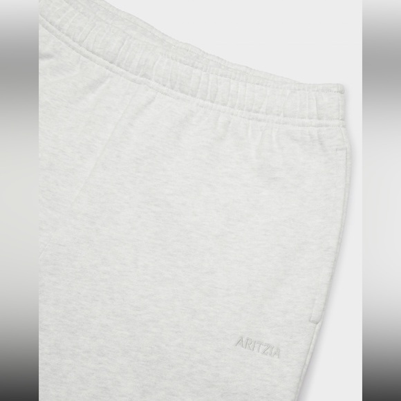 Aritzia Cozy Sweatfleece Mega Cargo Jogger - Picture 7 of 16